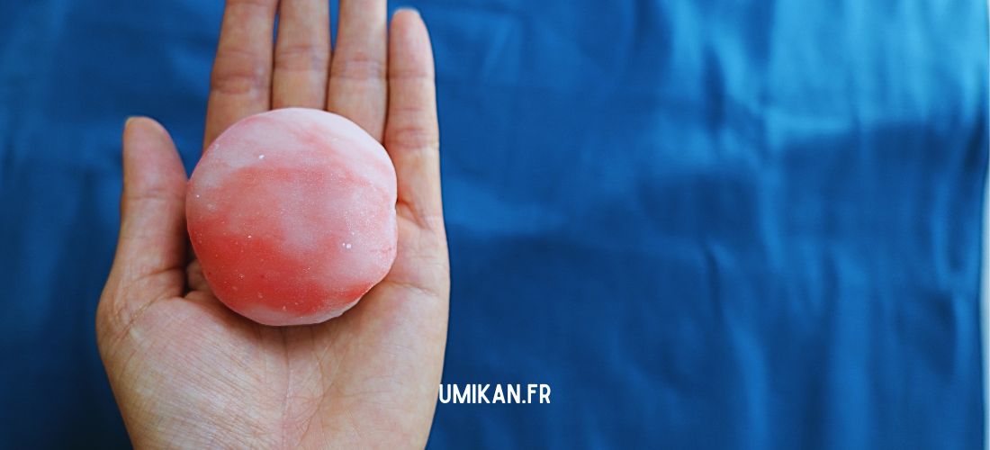 Meilleur mochi